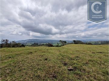 Venta Finca El Espinal San Pedro de los Milagros
