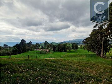 Venta Finca El Espinal San Pedro de los Milagros