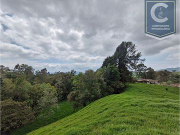 Venta Finca El Espinal San Pedro de los Milagros