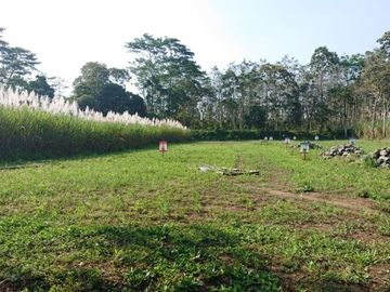 SEGERA MILIKI !! RUMAH NYAMAN HARGA MURAH DI KOTA MALANG
