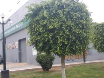 Terrenos Residenciales Venta Ciudad Del Pescador - CALLAO