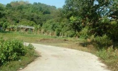 Agricultural Lot for Sale in Bauang, La