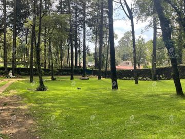Venta Casa en  Fraccionamiento Monte Verde - V302