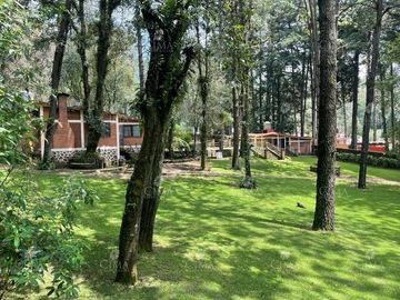 Venta Casa en  Fraccionamiento Monte Verde - V302
