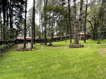 Venta Casa en  Fraccionamiento Monte Verde - V302