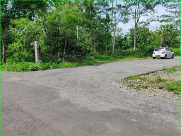 Di JUAL Tanah di Sardonoharjo ; Luas 152m2 Lokasi Strategis
