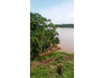 Fundo en Venta - Ucayali - Atalaya