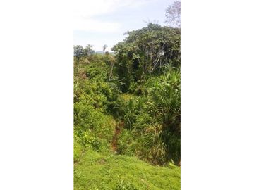 Fundo en Venta - Ucayali - Atalaya