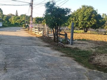Land for sale in Don Kaeo, Chiang Mai