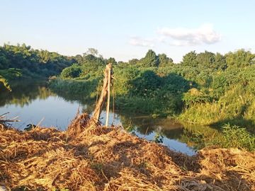 Land for sale in Don Kaeo, Chiang Mai