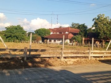 Land for sale in Don Kaeo, Chiang Mai