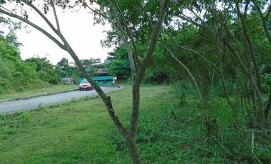 181 Sqm Lot for Sale in Greenwoods Subdivision near Talamban Cebu City