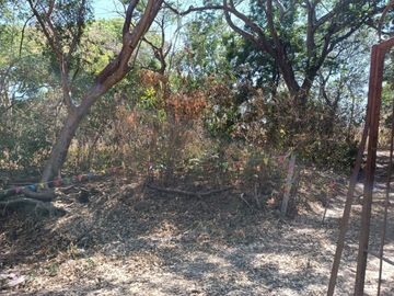 Venta de Terreno Campestre en Suchitlán Calle Clavel Fraccion A Lote 282
