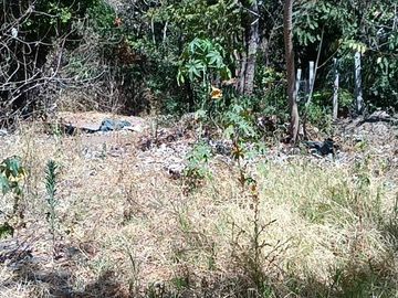 Venta de Terreno Campestre en Suchitlán Calle Clavel Fraccion A Lote 282