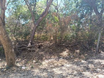 Venta de Terreno Campestre en Suchitlán Calle Clavel Fraccion A Lote 282