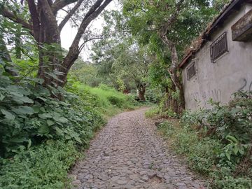 Venta de Terreno Campestre en Suchitlán Calle Clavel Fraccion A Lote 282
