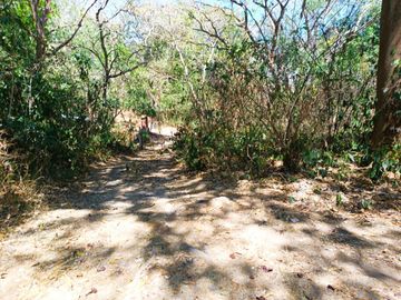 Venta de Terreno Campestre en Suchitlán Calle Clavel Fraccion A Lote 282