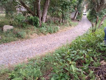 Venta de Terreno Campestre en Suchitlán Calle Clavel Fraccion A Lote 282