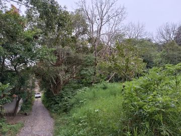 Venta de Terreno Campestre en Suchitlán Calle Clavel Fraccion A Lote 282