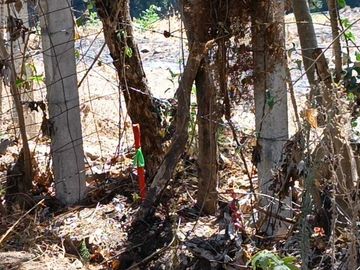 Venta de Terreno Campestre en Suchitlán Calle Clavel Fraccion A Lote 282