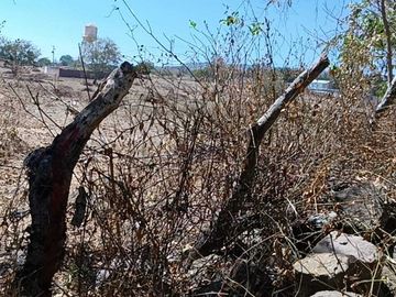 Venta de Terreno Campestre en Suchitlán Calle Clavel Fraccion A Lote 282