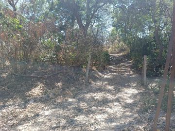 Venta de Terreno Campestre en Suchitlán Calle Clavel Fraccion A Lote 282