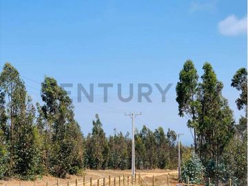 VENTA PARCELA PICHILEMU CAHUIL 3 CABAÑAS