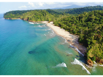 TERRENO PARA INVERSIÓN, PLAYA BLANCA CARIBBEAN PANAMA _40 hectareas