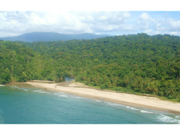 TERRENO PARA INVERSIÓN, PLAYA BLANCA CARIBBEAN PANAMA _40 hectareas