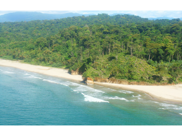 TERRENO PARA INVERSIÓN, PLAYA BLANCA CARIBBEAN PANAMA _40 hectareas