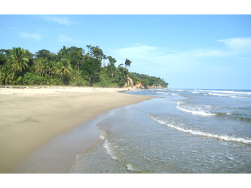 TERRENO PARA INVERSIÓN, PLAYA BLANCA CARIBBEAN PANAMA _40 hectareas