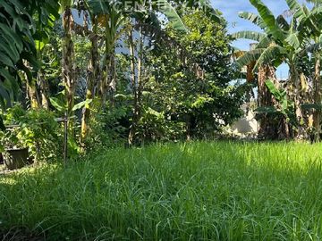 Dijual Tanah Kavling Simpruk Jl.Gunung Kelud Raya Lippo Cikarang
