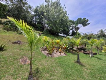 Finca Venecia (Suroeste Antioqueño)