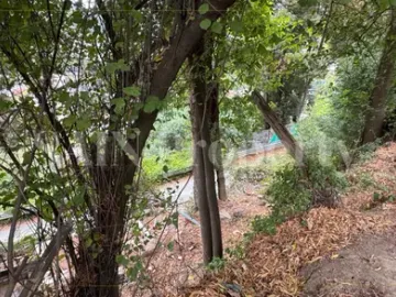 Terreno Urbano Para Construcción Barrio Universitario