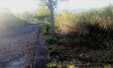 172 Sqm Residential Lot for Sale in El Monte Verde Consolacion Cebu