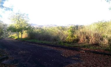 172 Sqm Residential Lot for Sale in El Monte Verde Consolacion Cebu