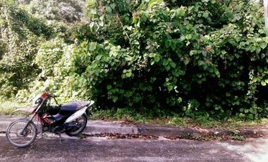Most Affordable 129 Sqm Subdivision Lot for Sale near Talamban Cebu City