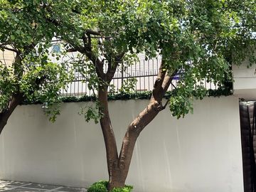 CASA EN VENTA EN LA CALLE CONDOR  EN COLONIA ALPES