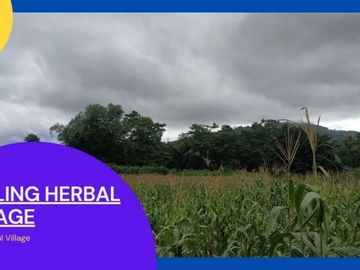 Tanah Lingkungan Pesantren Luas 72 m2 di Maros Bonus Tanaman Herbal