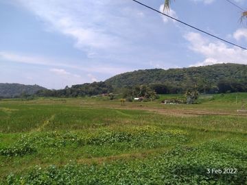 Tanah Jogja SHM View Menoreh: Homestay & Villa