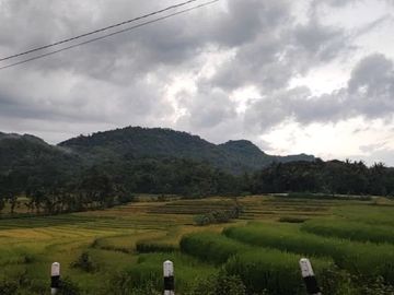 Tanah Jogja SHM View Menoreh: Homestay & Villa