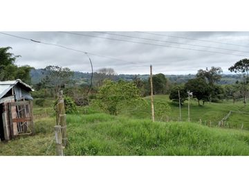 FINCA EN FILANDIA