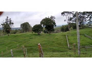 FINCA EN FILANDIA