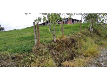FINCA EN FILANDIA