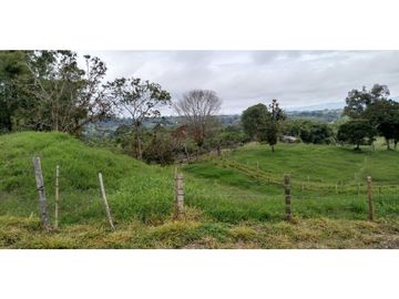 FINCA EN FILANDIA