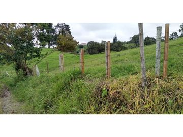 FINCA EN FILANDIA