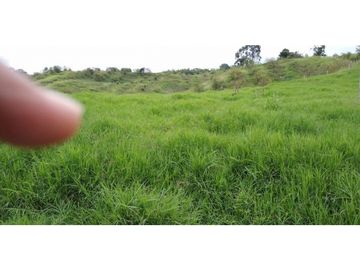 FINCA EN FILANDIA