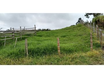 FINCA EN FILANDIA