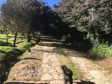 Venta De Finca En Subachoque. Cundinamarca