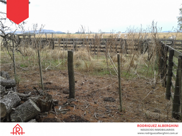 Campo de 60 hectáreas en Dos Naciones